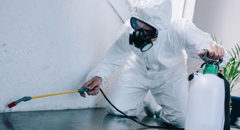 Pest Control Services (1)