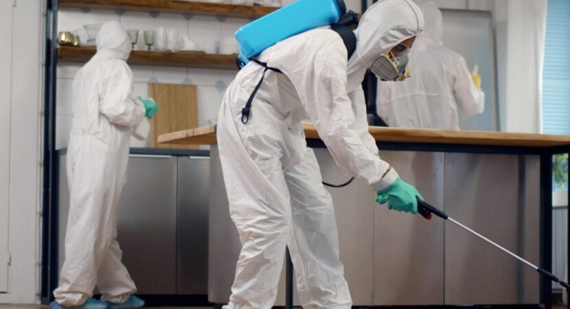 Pest Control Services